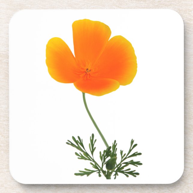 Blumenuntersetzer Untersetzer (Vorderseite)