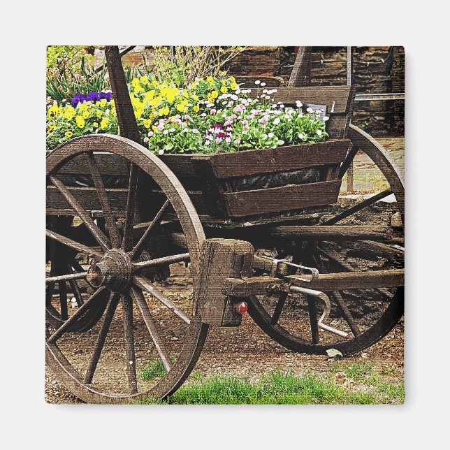 Blumenwagen Magnet (Vorne)