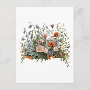 Blumenwiese Botanischer Garten Blumen Postkarte