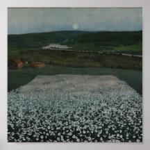 Blumenwiese im Norden - Kunstdruck