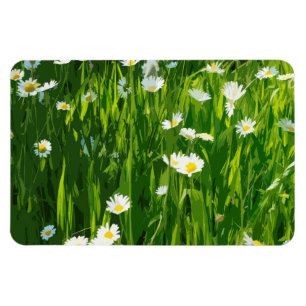 Blumenwiese Magnet