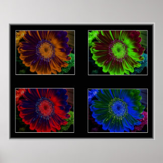 BlumenWindows Poster