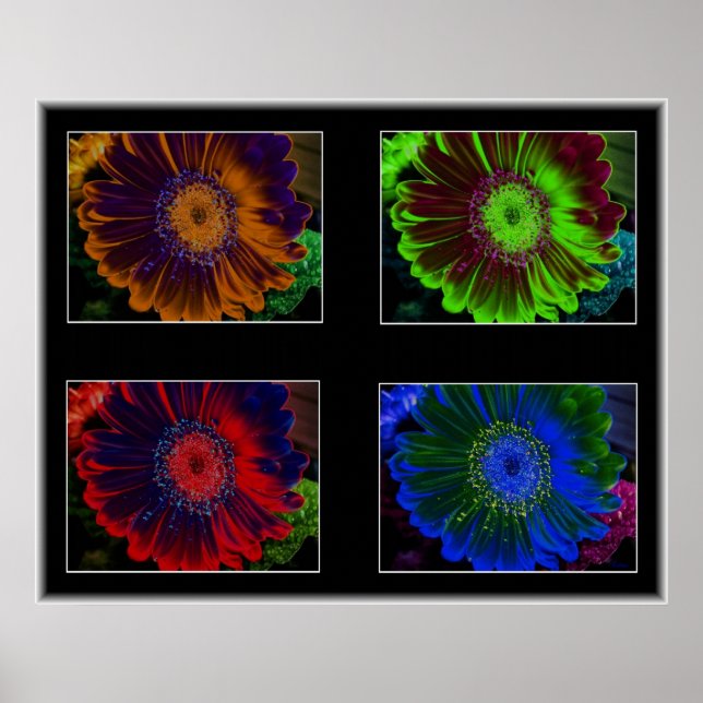 BlumenWindows Poster (Vorne)