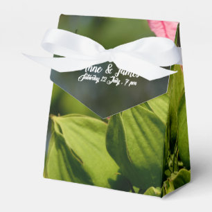 Blumenzellenboxen Gastgeschenk Hochzeit Geschenkschachtel