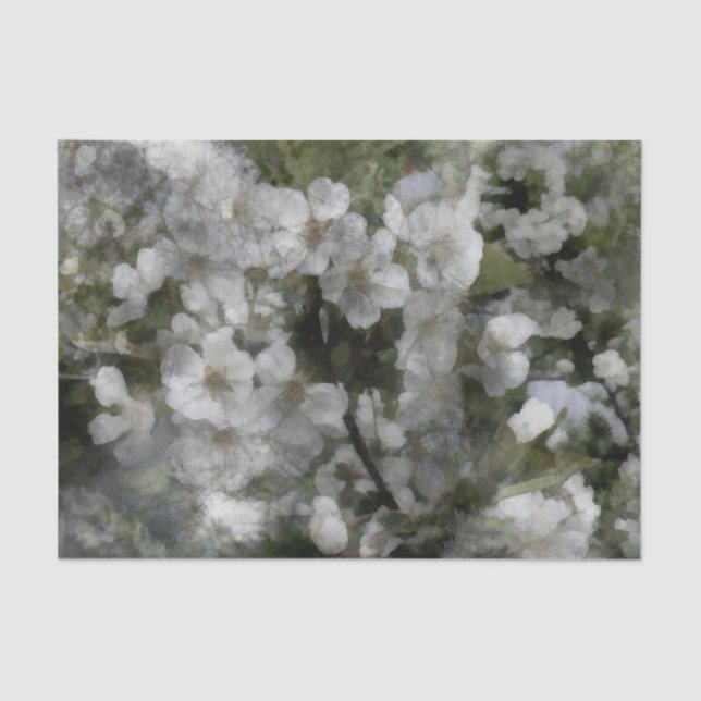 Blumenzellenpapier Seidenpapier (Vorderseite)