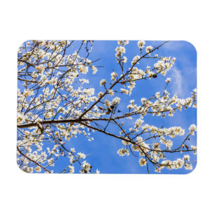 Blumenzweig Magnet