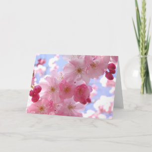 Blumenzwiebelkarten für das Foto Karte