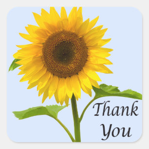 Blumige Dankeschön Gelbe Sonnenblume Blumen Hochze Quadratischer Aufkleber