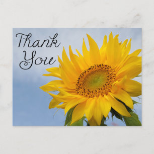 Blumige Dankeschön-Gelbe Sonnenblumen Blauer Himme Postkarte