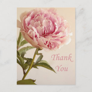 Blumige Dankeschön Rosa Pfingstrose Blume Postkarte