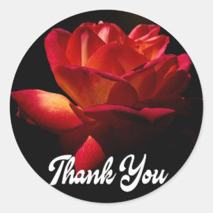 Blumige Dankeschön-Rote Rose Blumen Schwarze Hochz Runder Aufkleber
