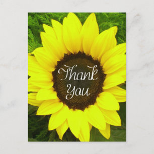 Blumige Dankeschön-Sonnenblumen-Gelb-&-Grün-Blumen Postkarte