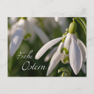 Blumige Ostergrüße aus dem Briefkasten Postkarte