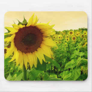 Blumige Sonnenblume Grünes Und Gelbes Blumenmauspa Mousepad