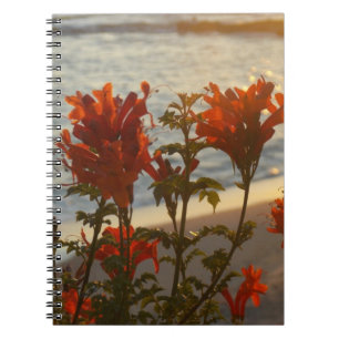Blumiger Strand-Sonnenuntergang Notizblock