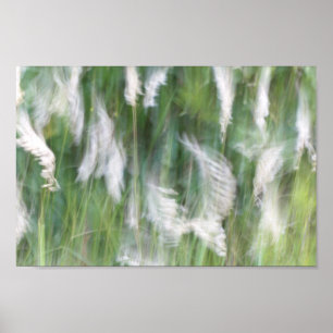 Blurred Motion Grass Natur Abstrakt Poster