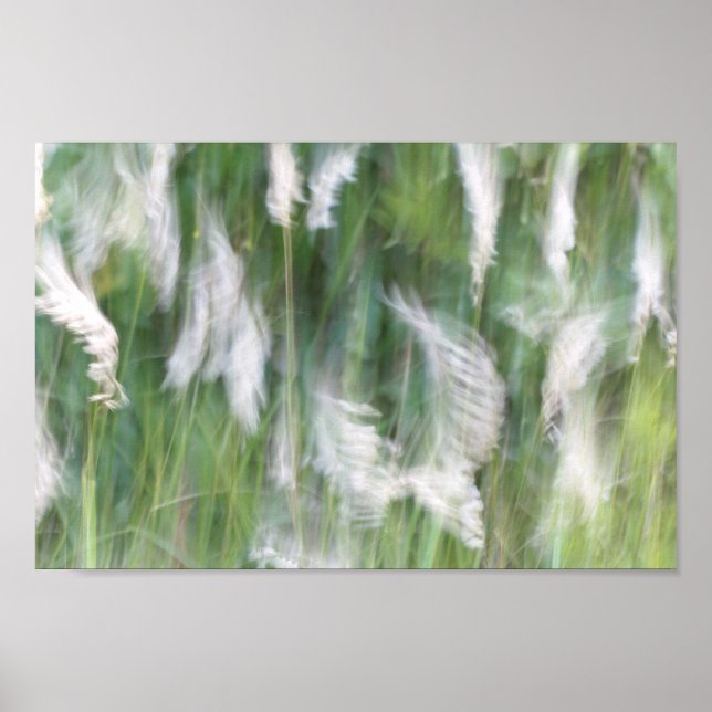 Blurred Motion Grass Natur Abstrakt Poster (Vorne)