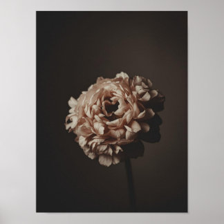 Blush Bouquet Study Poster