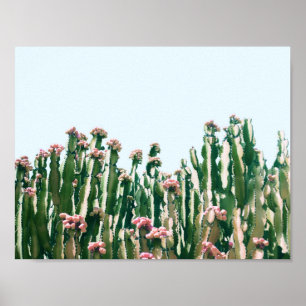 Blush Cactus Poster