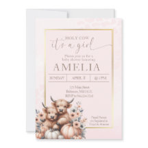 Blush Highland Kuh ist ein Mädchen Kürbis