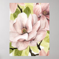 Blush Magnolia Blume