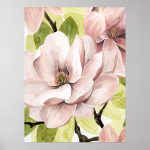 Blush Magnolia Blume Poster
