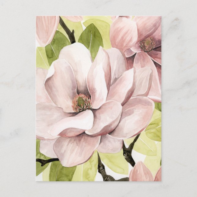 Blush Magnolia Blume Postkarte (Vorderseite)
