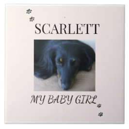 Blush Minimal Pet 1 Photo with Paw Prints Fliese