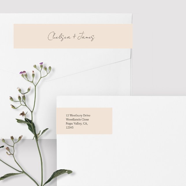 Blush Peach | Begrüßungsadresse für Script (Von Creator hochgeladen)