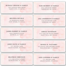 Blush Pink Elfenbeinfarben Hochzeitsgastadresse Aufkleber