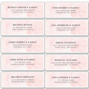 Blush Pink Elfenbeinfarben Hochzeitsgastadresse Aufkleber