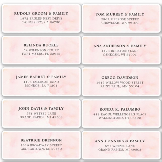 Blush Pink Elfenbeinfarben Hochzeitsgastadresse Aufkleber (Vorderseite)