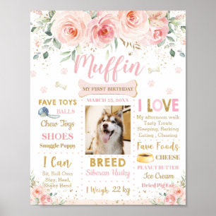 Blush Pink Floral Hund Welpe 1. Geburtstag Meilens Poster