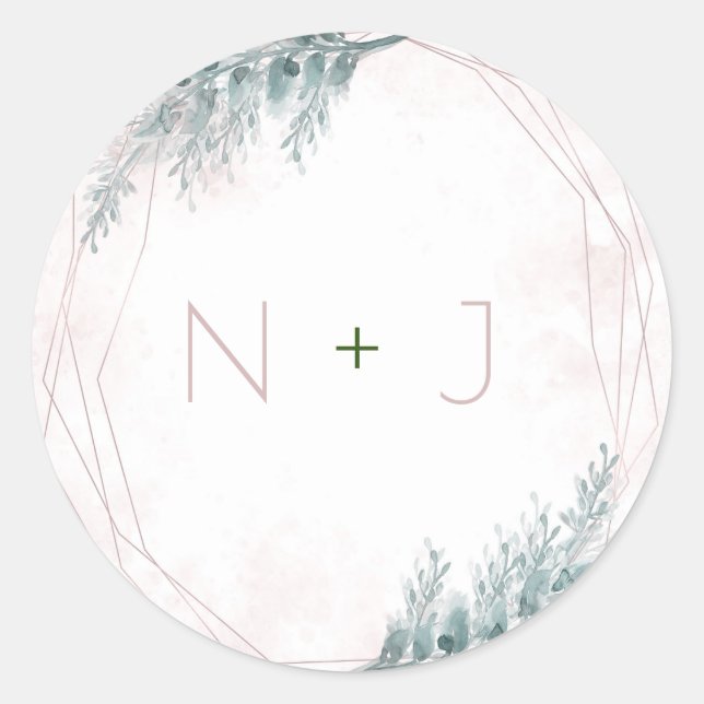 Blush Pink Wasserfarbe Geometrische botanische Hoc Runder Aufkleber (Vorderseite)