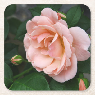 Blush-Rose Bluepapier-Untersetzer Rechteckiger Pappuntersetzer