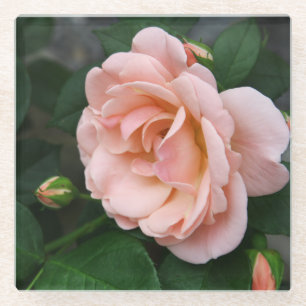 Blush Rose Blumenglas Untersetzer