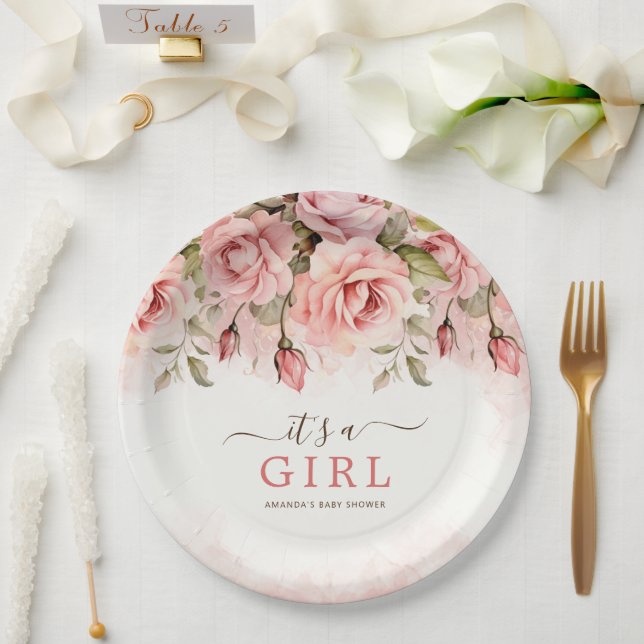 Blush Rose Es ist eine Girl Baby Dusche Pappteller (Hochzeit)