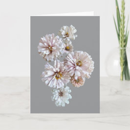 Blush Zinnia Folded Greeting Card Karte