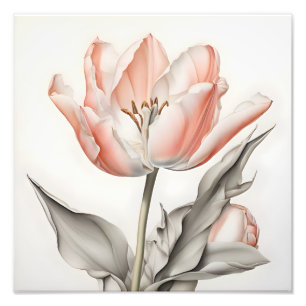 Blushing Beauty - Pink Tulip Nah-up Fotodruck