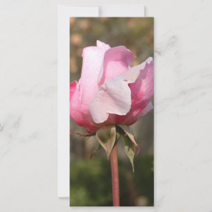 Blushing Beauty Rack Card/Lesezeichen