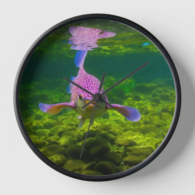 "Blushing-Finnen: Eine whimsical Pink Fish Design  Uhr (Vorderseite)
