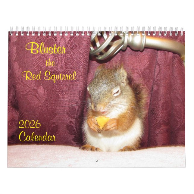 Bluster das rote Eichhörnchen 2026 Kalender (Titelbild)