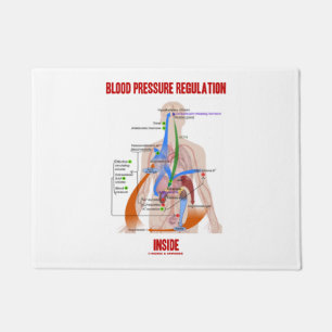 Blut-Druckregulation innerhalb anatomischen Fußmatte