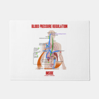 Blut-Druckregulation innerhalb anatomischen Fußmatte
