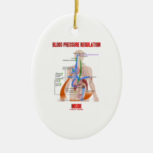 Blut-Druckregulation innerhalb der Physiologie Keramik Ornament