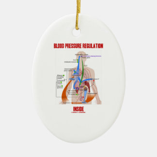 Blut-Druckregulation innerhalb der Physiologie Keramik Ornament