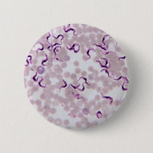Blut-Parasit Trypanosoma Button