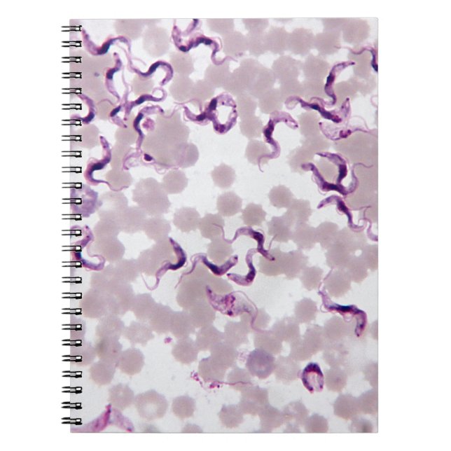 Blut-Parasit Trypanosoma Notizblock (Vorderseite)