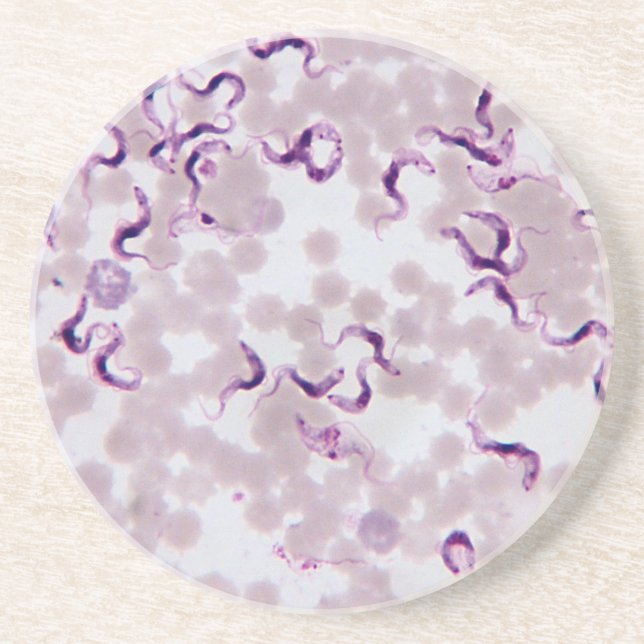 Blut-Parasit Trypanosoma Untersetzer (Vorne)