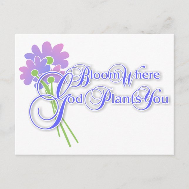 Blut, wo Gott dich Pflanze 2 Postkarte (Vorderseite)